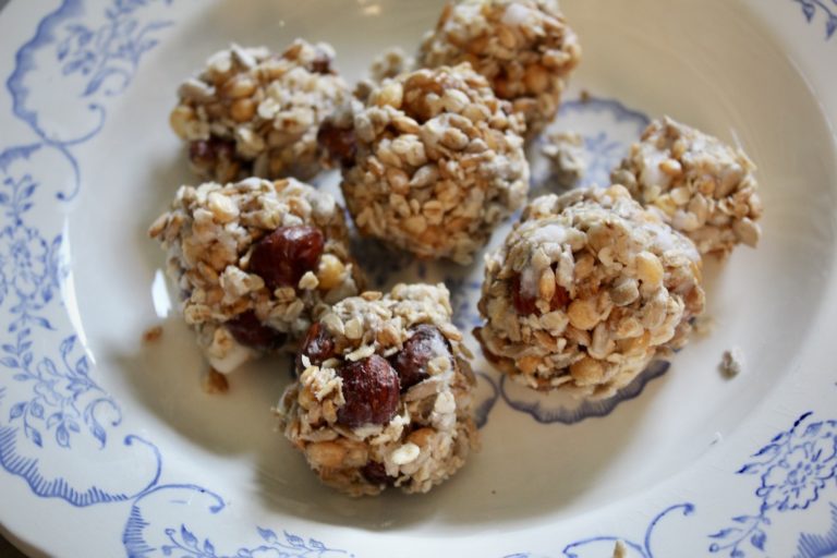 Comment faire des boules de graisse pour les oiseaux ? Pepnaf — free download