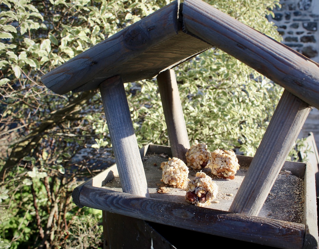 Comment faire des boules de graisse pour les oiseaux ? Pepnaf — free download